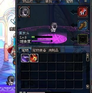 勇士币换什么划算？-dnf宠物黑炭头