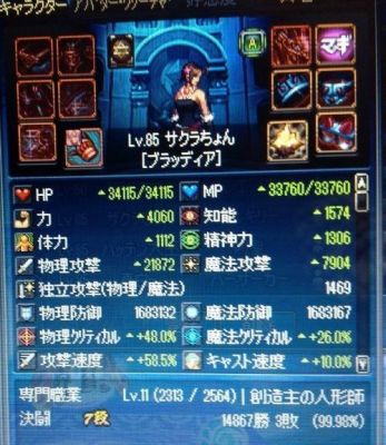 女漫游搬砖带什么武器？-dnf女漫游搬砖