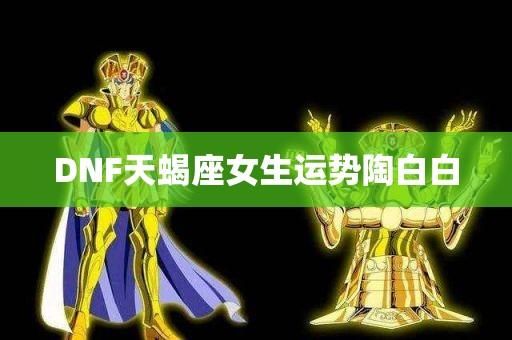 DNF各职业国服第一？-dnf天蝎座