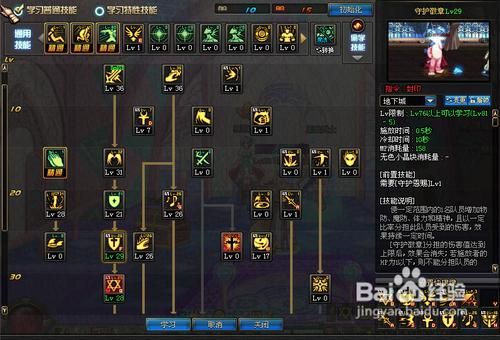 圣骑士全能加点？-dnf圣骑士怎么加点