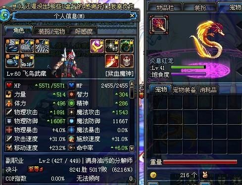 千古风流灵宠有哪些？-dnf炎息红龙