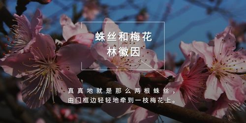 蛛丝与梅花原文？-dnf碧水重门指环