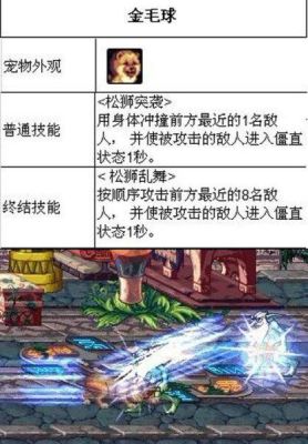 奶爸宠物选哪个好？-dnf宠物金毛球
