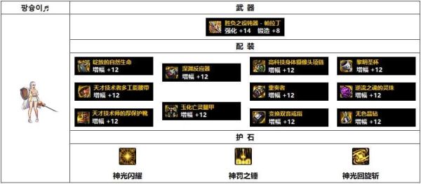 帕拉丁110装备推荐？-dnf帕拉丁带什么武器