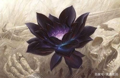 洪荒中混沌诞生的四朵莲花？-dnf业火之气息