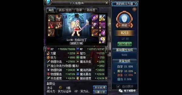 帕拉丁110级搬砖搭配排名？-dnf帕拉丁搬砖姿势