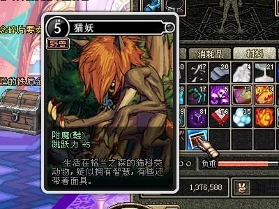 DNF中，龙人怪兽卡片值多少钱？-dnf猫妖