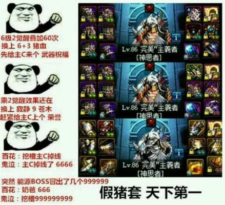 DNF野猪套攻略？-dnf真野猪攻略