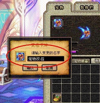 dnf年宠怎么设置名字？-dnf宠物怎么改名
