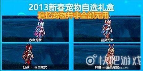 奶爸用新春宠物跟五一宠物的区别？-dnf奶爸带什么宠物