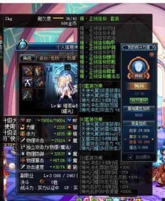 110版本帕拉丁还能辅助吗？-dnf帕拉丁辅助装
