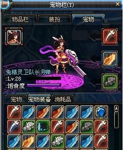 兔灵网是什么？-dnf兔灵