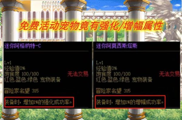 DNF什么宠物技能等级加2？-dnf最新宠物