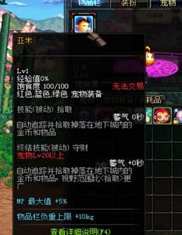 dnf宠物亚米最高级是多少级？-dnf亚米宠物属性