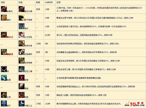 tbc猎人宝宝快速升级？-dnf宠物怎么升级快