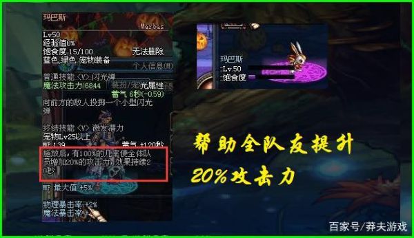 tbc猎人宝宝快速升级？-dnf宠物怎么升级快