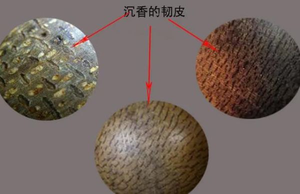 乌沉香和百年沉香有什么区别？-dnf尼乌