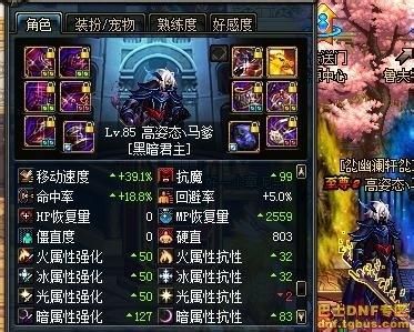 dnf鬼泣护符装备搭配？-dnf鬼泣墓碑套