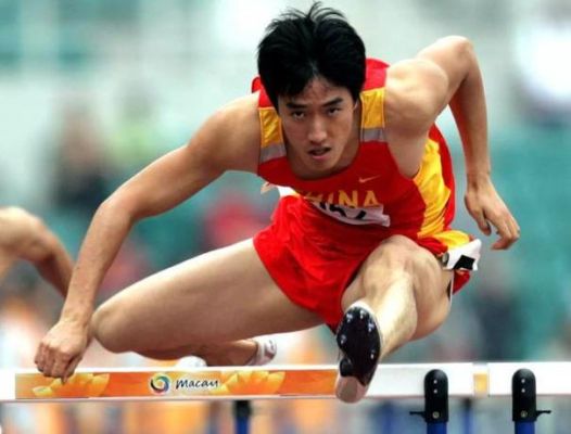 刘翔获得过多少次世界大赛冠军？-铜牌dnf