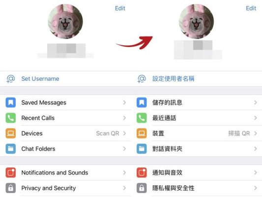 罗塞塔石碑装语言包。选择哪个路径都会出来Error：couldn't locate rountime module？-dnf罗赛塔石碑