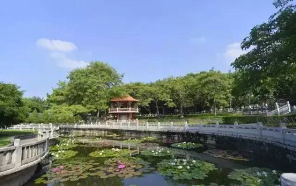 千手观音叶子长的太长？-dnf千手罗汉刷图加点