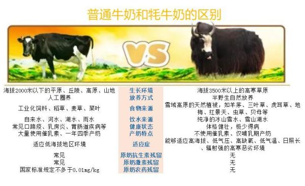 奶精与鲜奶精有什么不同吗？-dnf体奶和精奶的区别