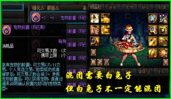dnf白兔子宠物怎么获得？-dnf兔子头