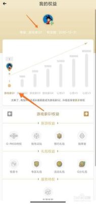 心悦会员目前分哪几个等级？-dnf心悦等级