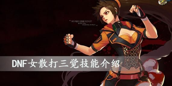 dnf当前版本女散打，战法，刺客，赵云这四个职业哪个可玩性更高？-dnf女散打技能