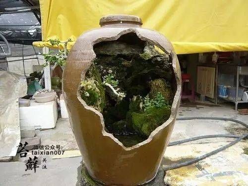 “其水并峻急奔暴，鱼，所不能游，行者常苦之”是什么意思？-dnf苦行者