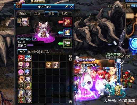 宠物跨界石可以跨界年宠吗？-dnf跨越