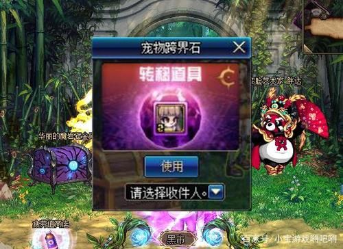 宠物跨界石可以跨界年宠吗？-dnf跨越