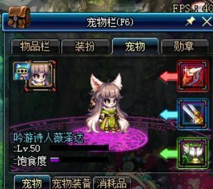 宠物跨界石可以跨界年宠吗？-dnf跨越
