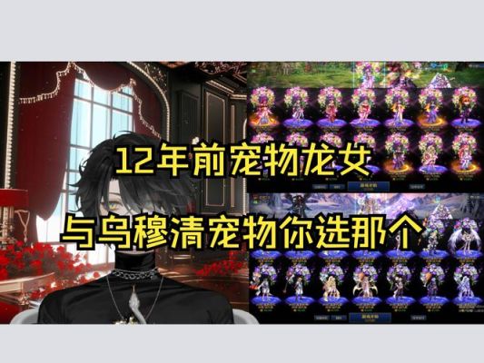 dnf20年至尊宠物和21年普通对比？-dnf年宠提升