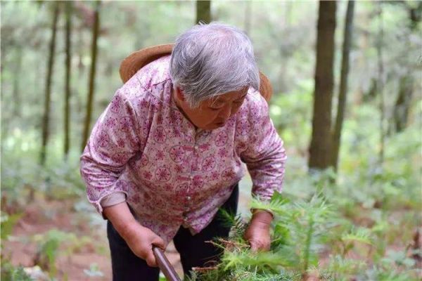 黄荆条子出好人的典故？-dnf黄金棍