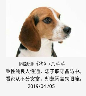 求师不必远处寻，伶猫俐狗气象台。此诗所指什么动物？-dnf俐鼠