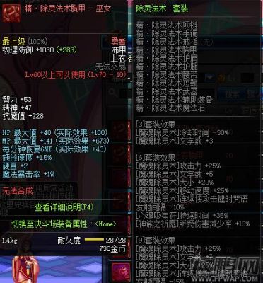 DNF巫女搬砖穿什么装备？-dnf混沌和缘定三生