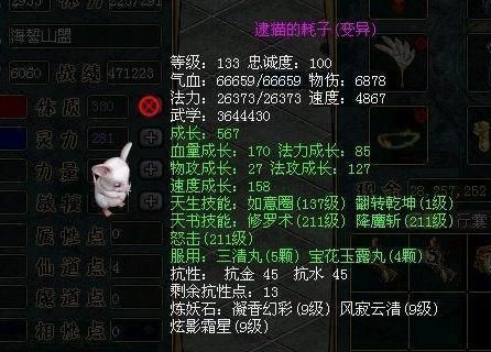 问道伶俐鼠带翻转天技可以卖300RMB吗？-dnf伶俐鼠