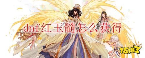 DNF红玉髓可以组队吗？-dnf艾尔文换装
