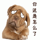 九尾狐舞蹈表情怎么弄？-dnf元素表情包