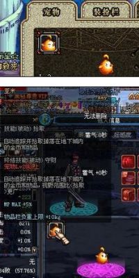 DNF的宠物怎么领取获得？-dnf亚米怎么得