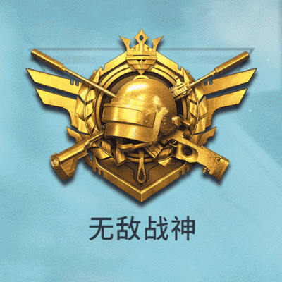 和平精英五星是什么意思？-51牛dnf游戏币