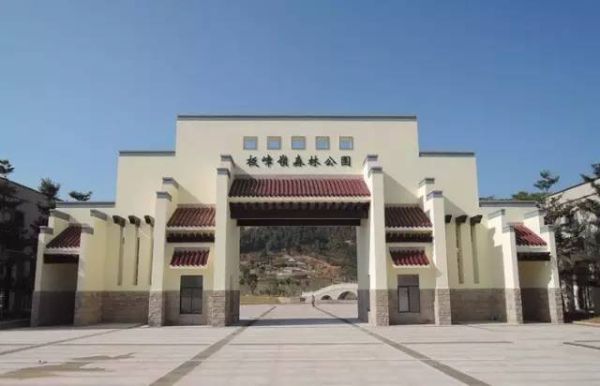 板樟岭森林公园和亚公顶哪个好玩？-dnf迷雾缭绕