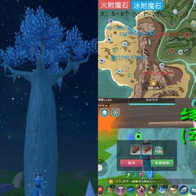 创造与魔法的纳坦树种子？-Dnf树种子