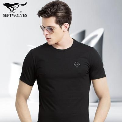 为什么我买的七匹狼衣服标志是一只狼的站着的而不是狼奔?这是蓝标系列的有的连狼都没有啊？-dnf时装狼
