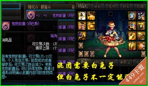 地下城白兔子宠物全名叫什么？-dnf生肖兔