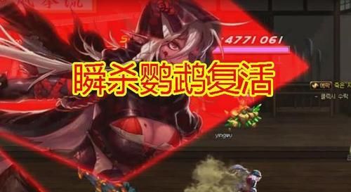 WOW盗贼的鹦鹉是什么意思？-dnf鹦鹉是什么职业