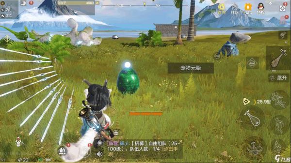 妄想山海宠物蛋为什么交易不了？-dnf宠物蛋能交易吗