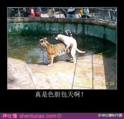 谓虎畏己也，返而矜，有大志什么意思？-dnf畏虎