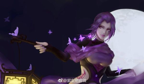 求一些紫女壁纸？-dnf刺客壁纸